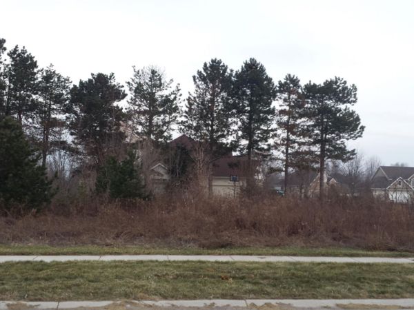2453 Perry Drive, Unit Lot 66, Stevensville, MI 49127