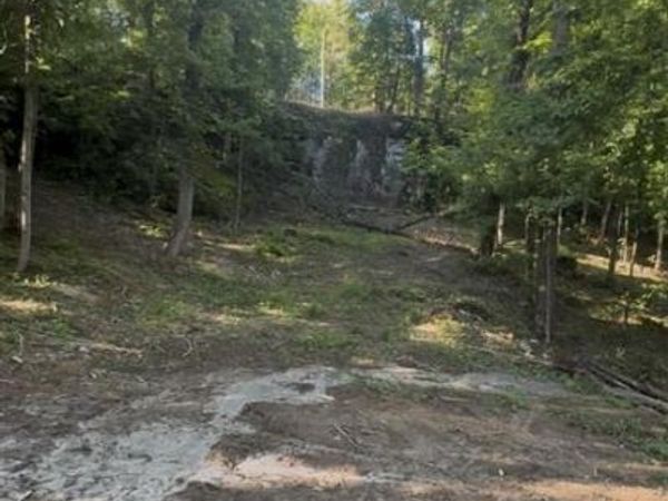Lot 136 & 137 Wilderness Road , Mammoth Cave, KY 42259