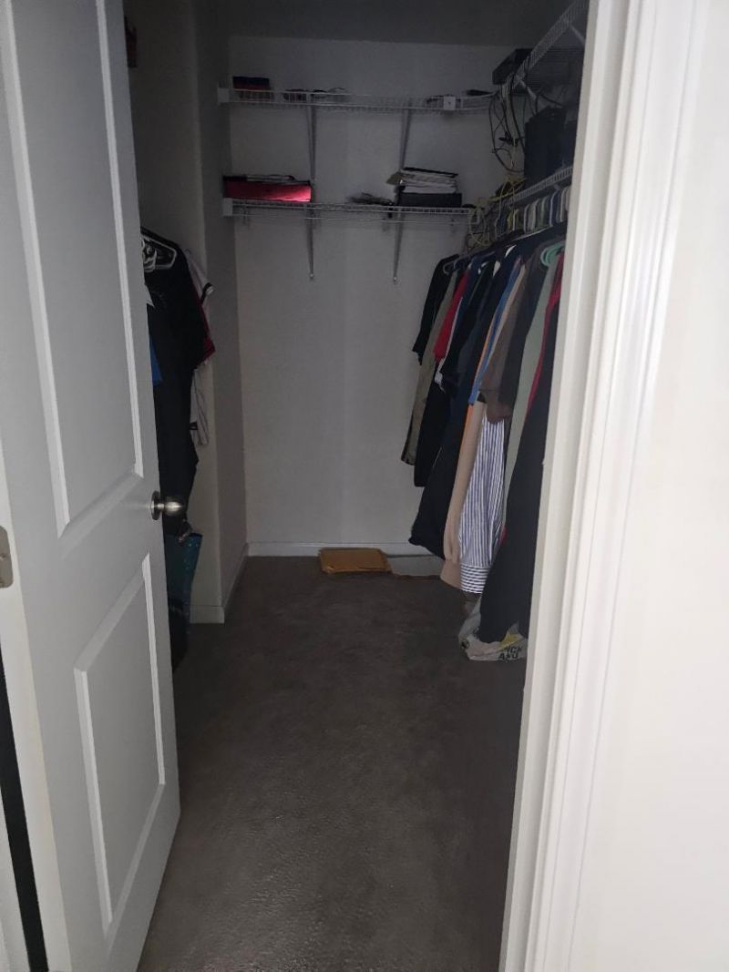 447 Whispering Breeze Lane Photo 13