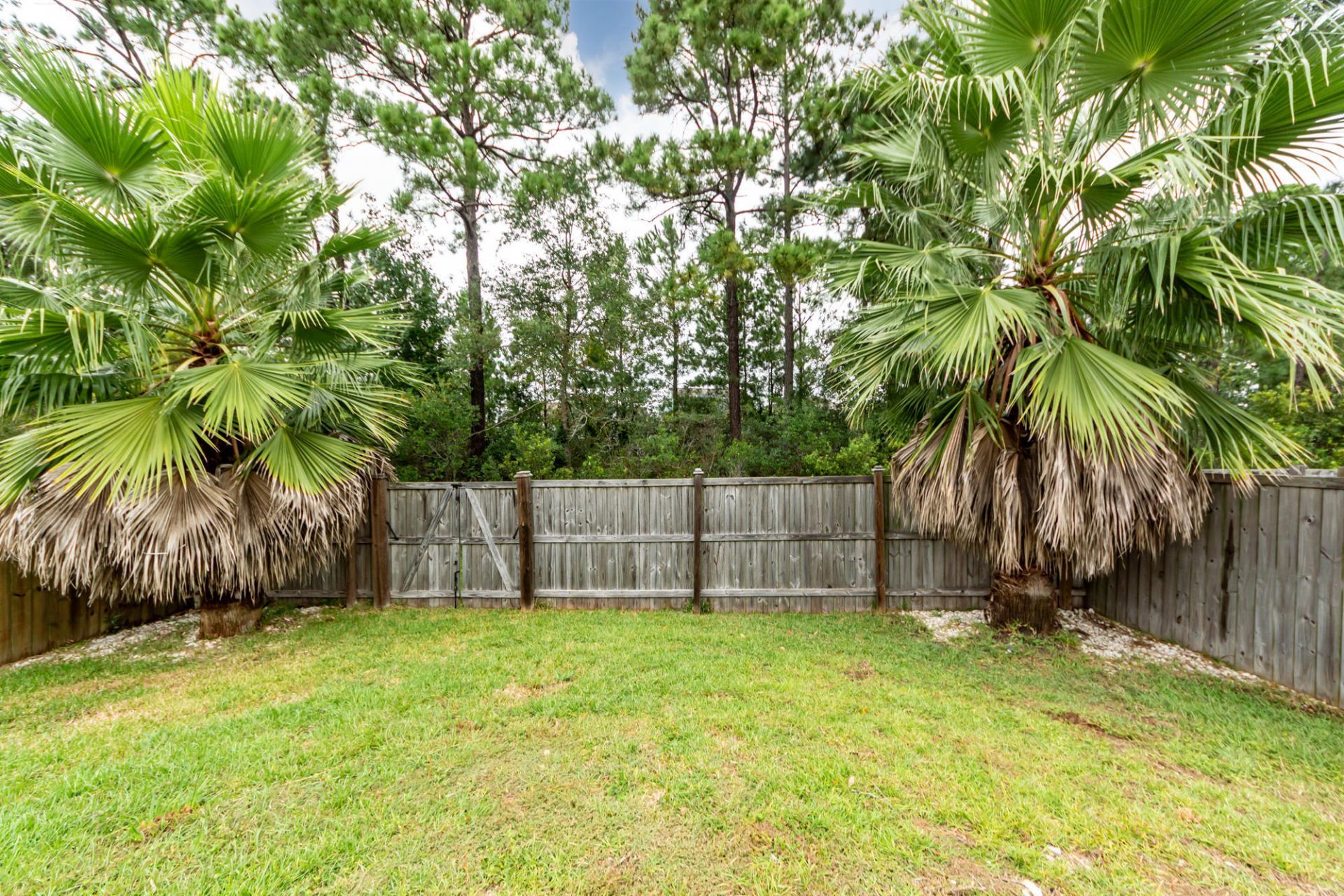 447 Whispering Breeze Lane Photo 45