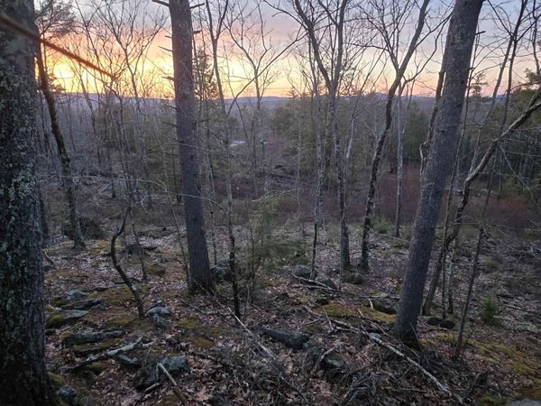 Map 104 Berry River Road, Unit 3 lots, Barrington, NH 03825