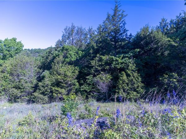 Hwy 246, Berryville, AR 72616