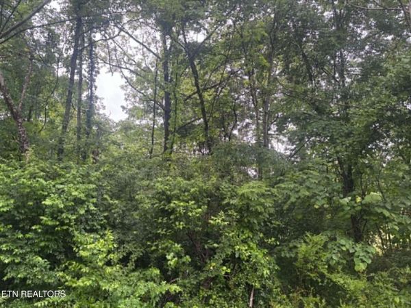 Brogan Lane , Tazewell, TN 37879