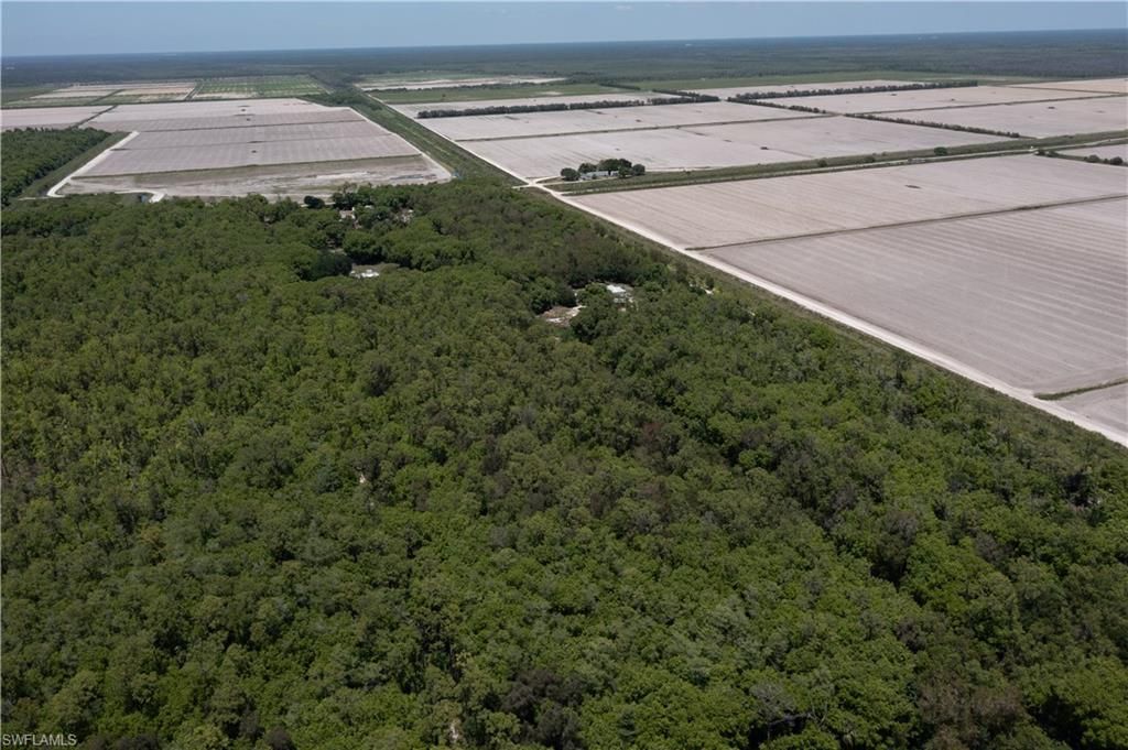 Lager Lane , Naples, FL 34114 Photo