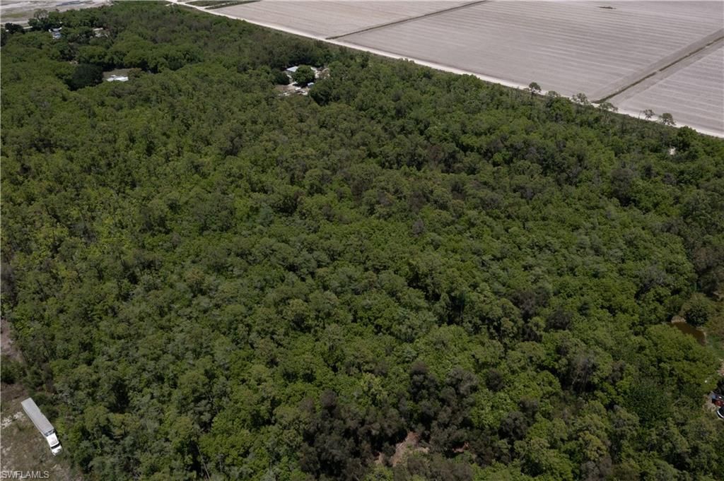 Lager Lane , Naples, FL 34114 Photo