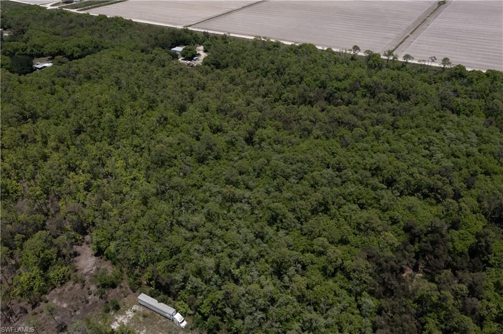 Lager Lane , Naples, FL 34114 Photo