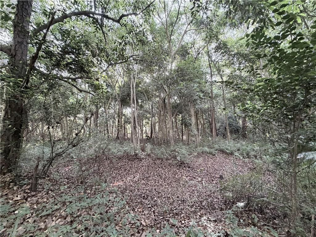 Lager Lane , Naples, FL 34114 Photo