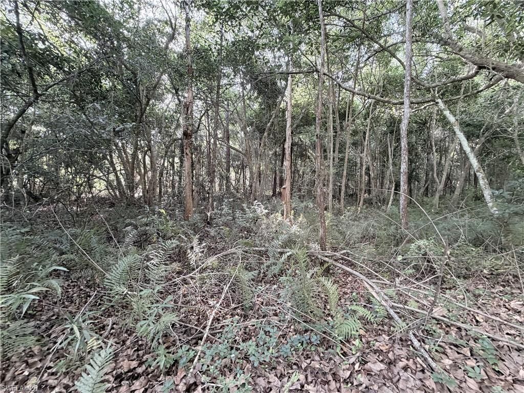 Lager Lane , Naples, FL 34114 Photo