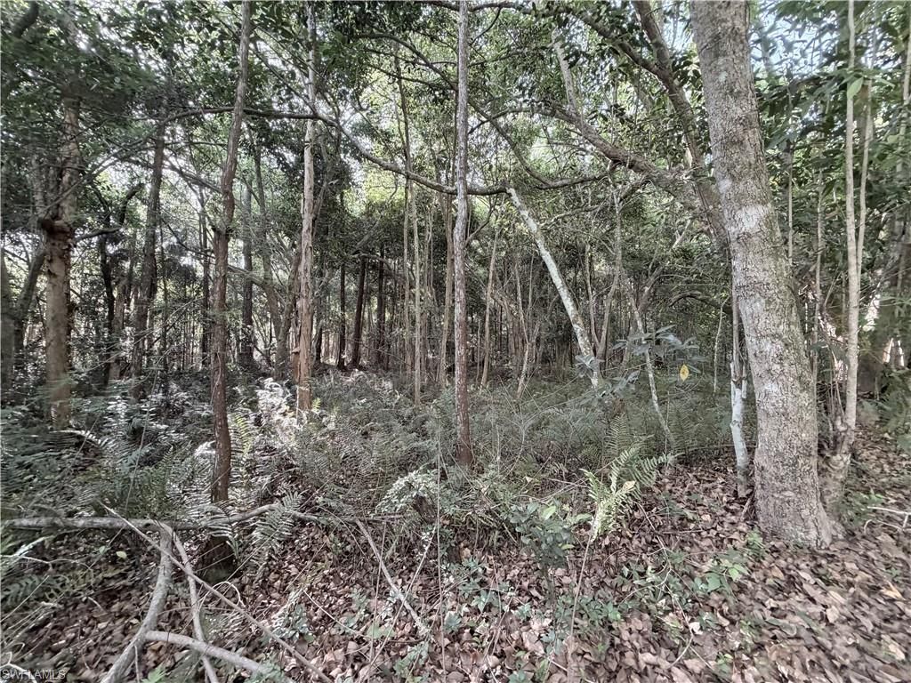 Lager Lane , Naples, FL 34114 Photo