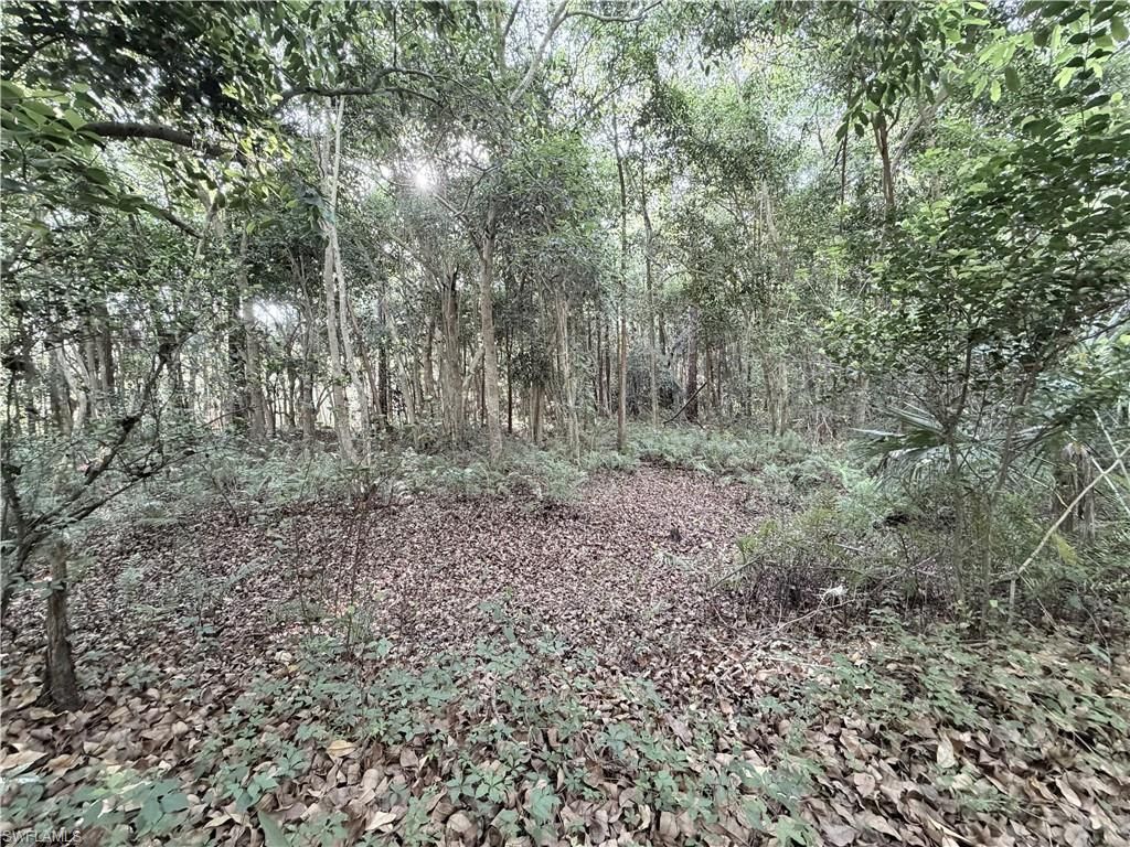 Lager Lane , Naples, FL 34114 Photo