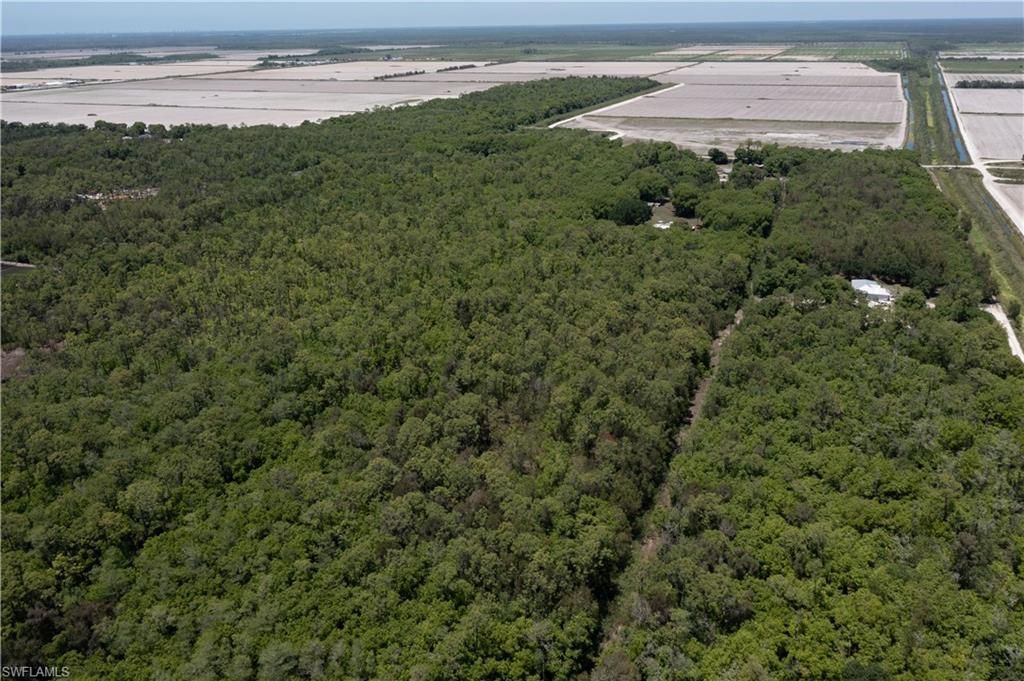 Lager Lane , Naples, FL 34114 Photo