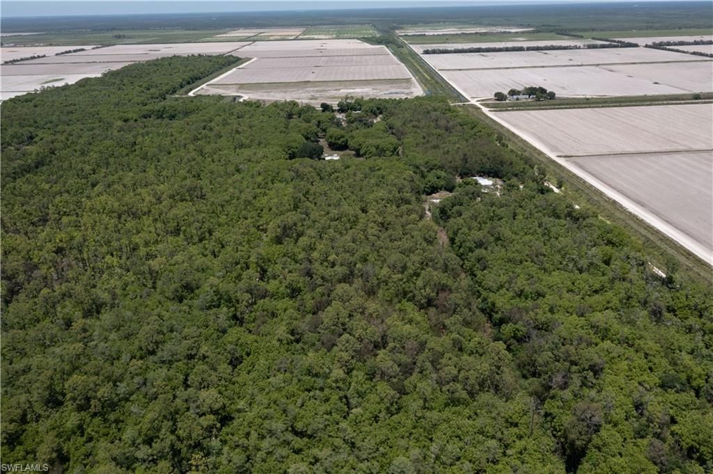 Lager Lane , Naples, FL 34114 Photo