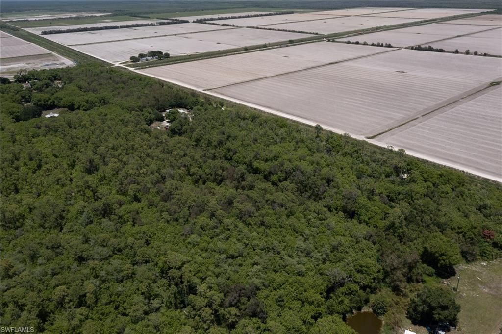 Lager Lane , Naples, FL 34114 Photo