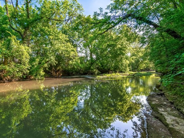300 Gunter Smith Rd, Pulaski, TN 38478