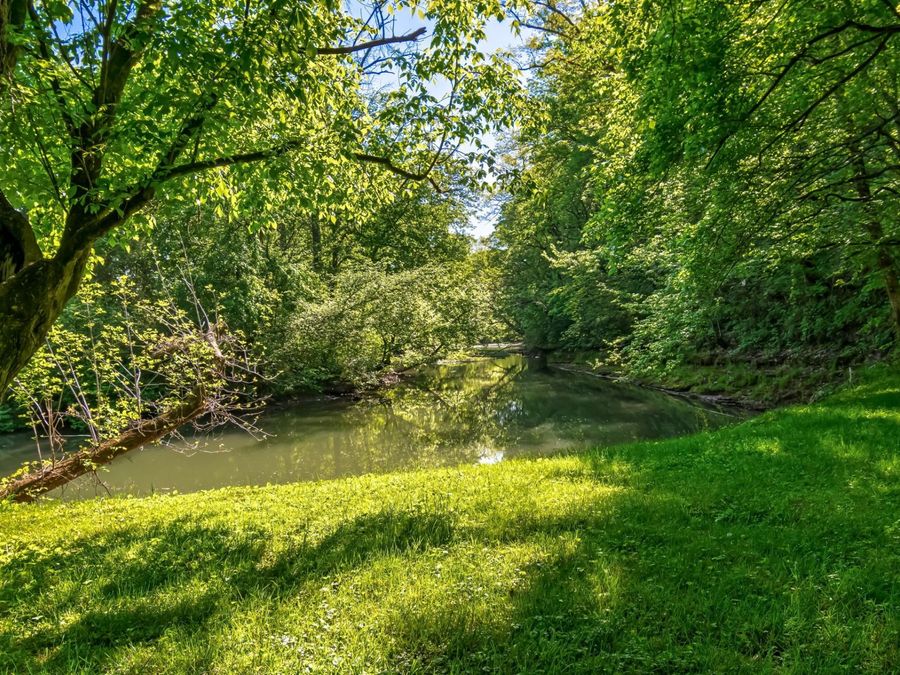 Property Image 53