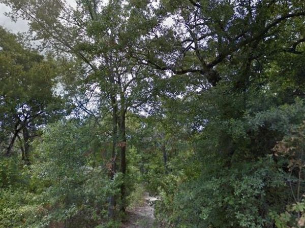 191 Coahoma Street , Mabank, TX 75156