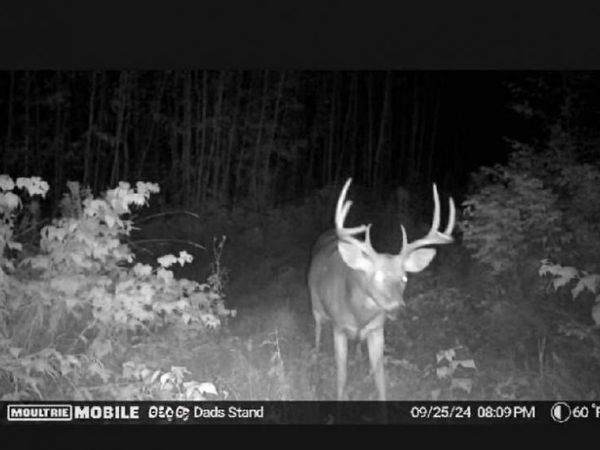TBD US HWY 2 , Bagley, MN 56621