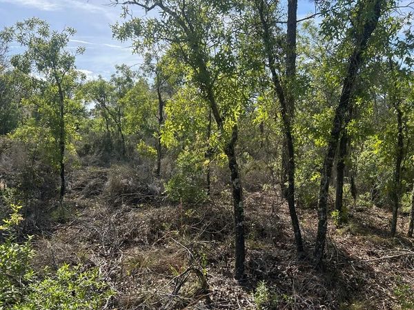 00 NE 58th St, Bronson, FL 32621