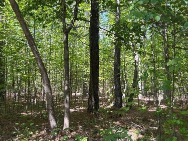 1 Foxfire Lane, Bedford, VA 24523