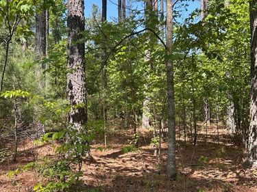 2 Foxfire Lane, Bedford, VA 24523