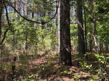 3 Foxfire Lane, Bedford, VA 24523