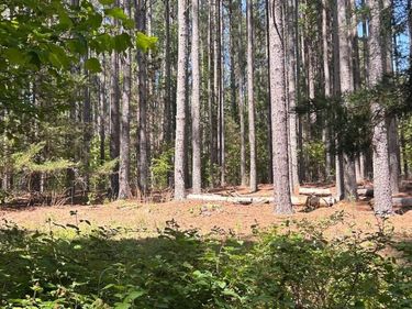 4 Foxfire Lane, Bedford, VA 24523