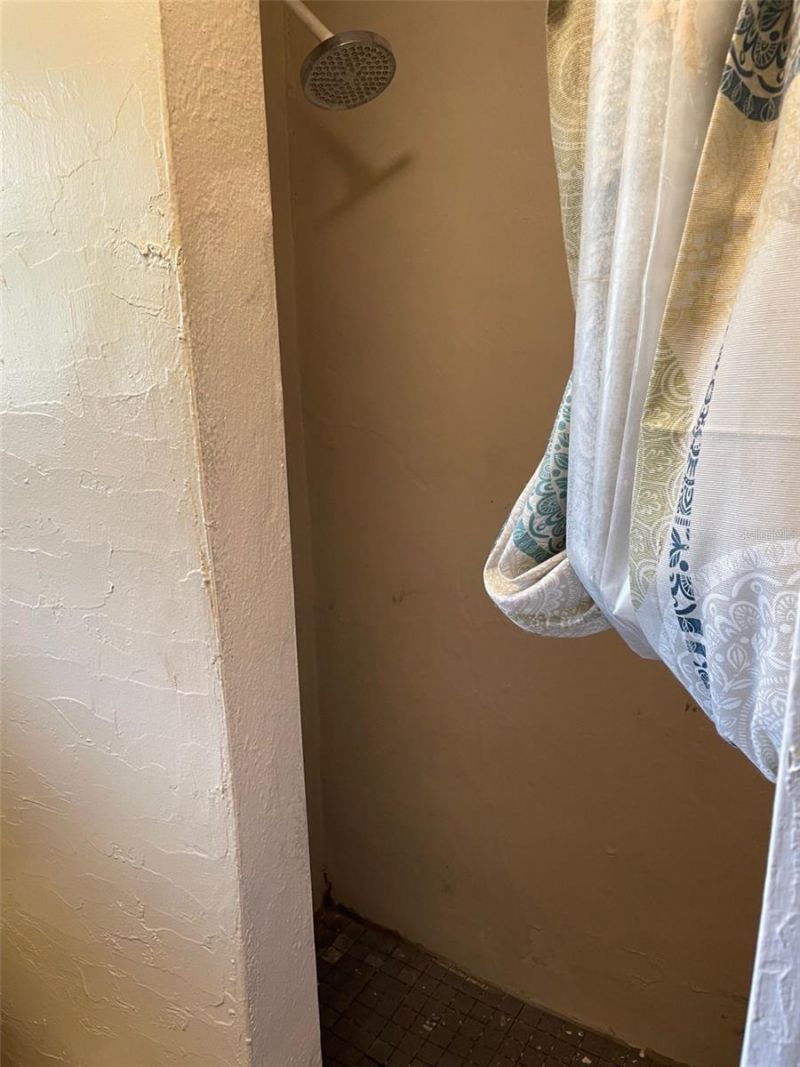 1648 27th Avenue N, Unit 2, Saint Petersburg, FL 33713 Photo