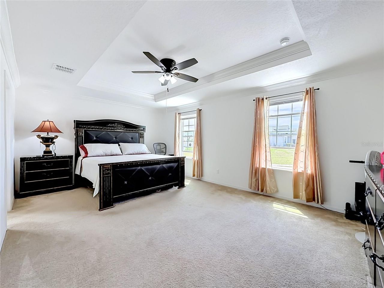 15523 Gemini Drive, Mascotte, FL 34753 Photo