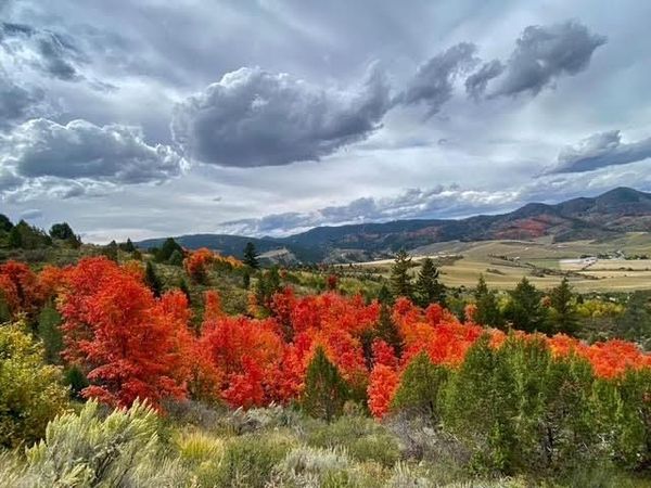Lot 28 Selkirk Rd, Lava Hot Springs, ID 83245