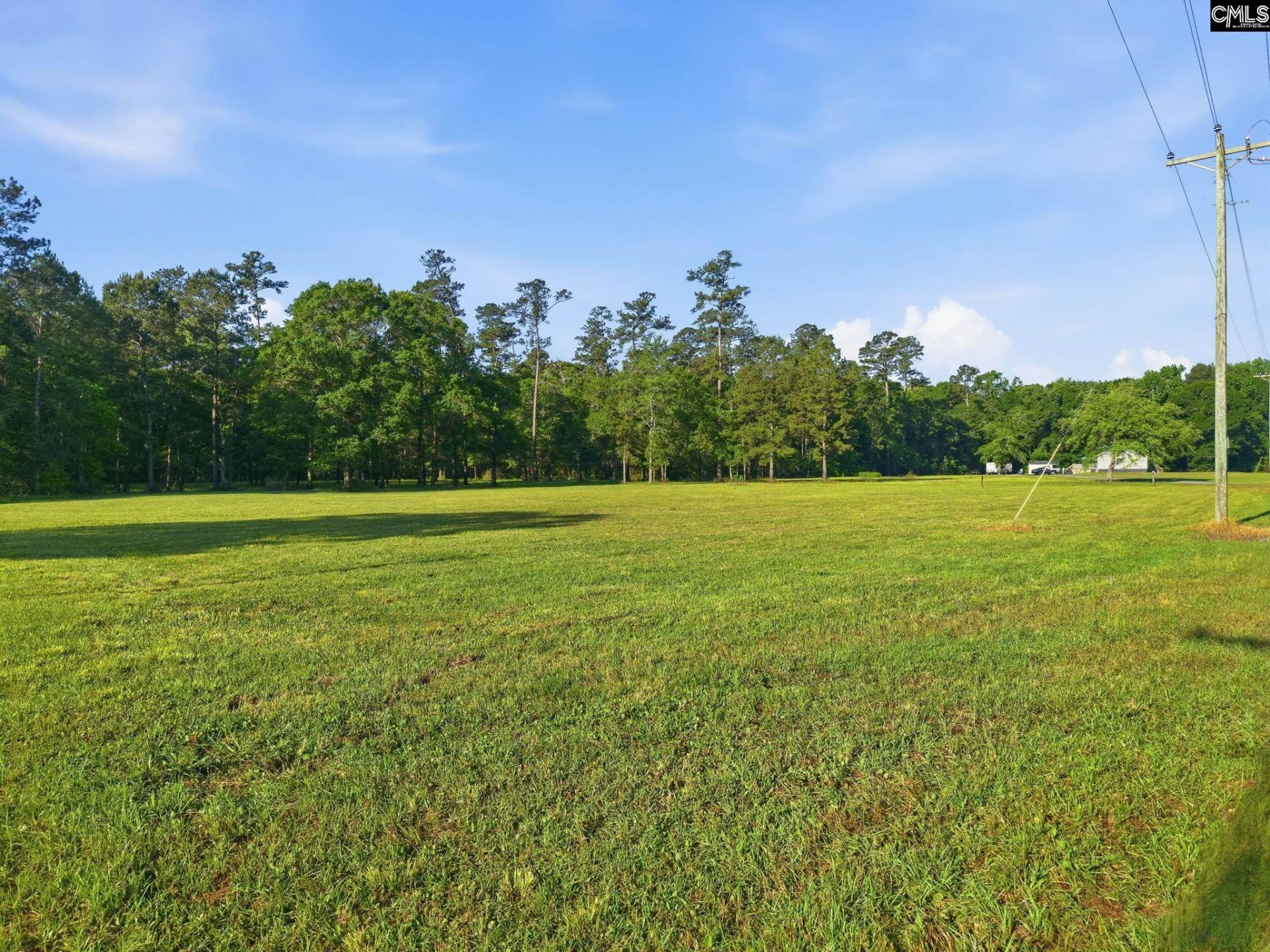 1047 Fortview Road  Photo 10