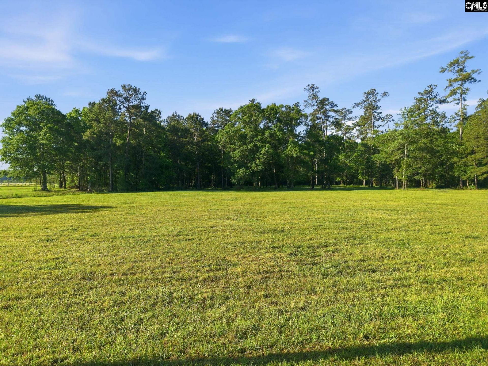 1047 Fortview Road  Photo 12