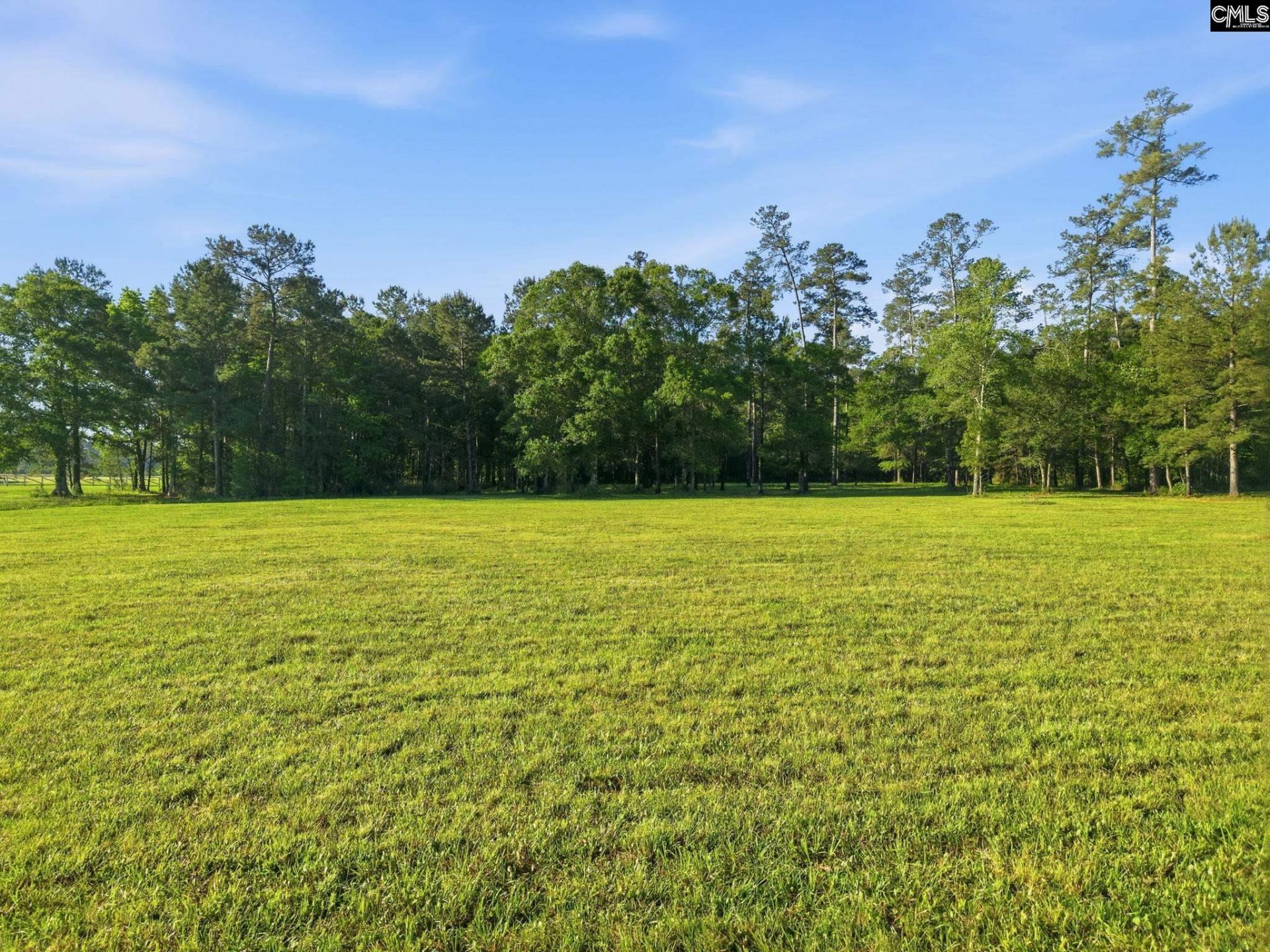 1047 Fortview Road  Photo 13