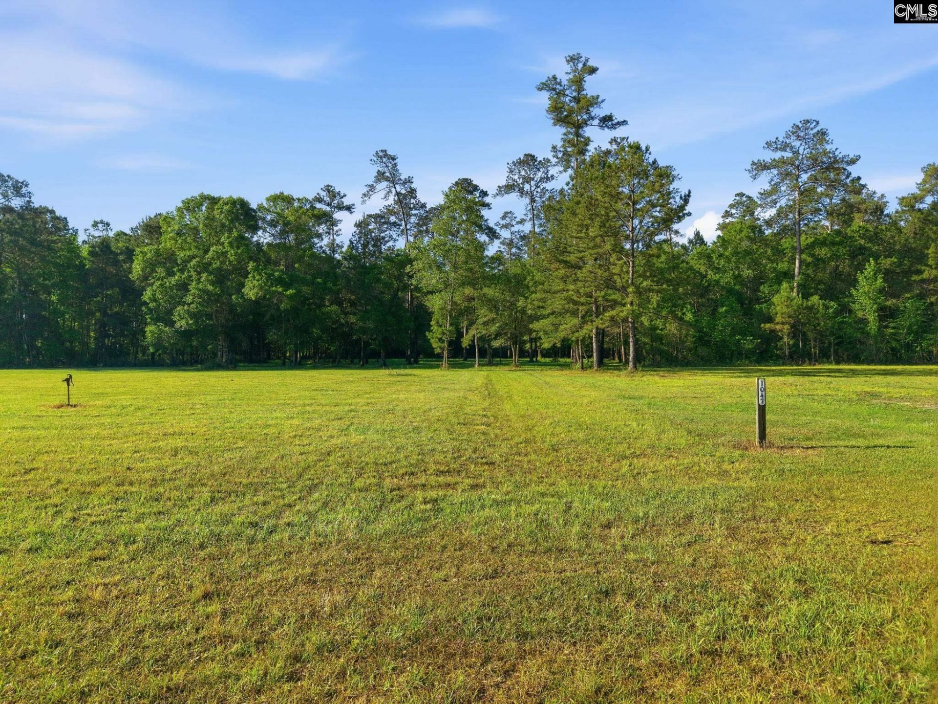 1047 Fortview Road  Photo 14