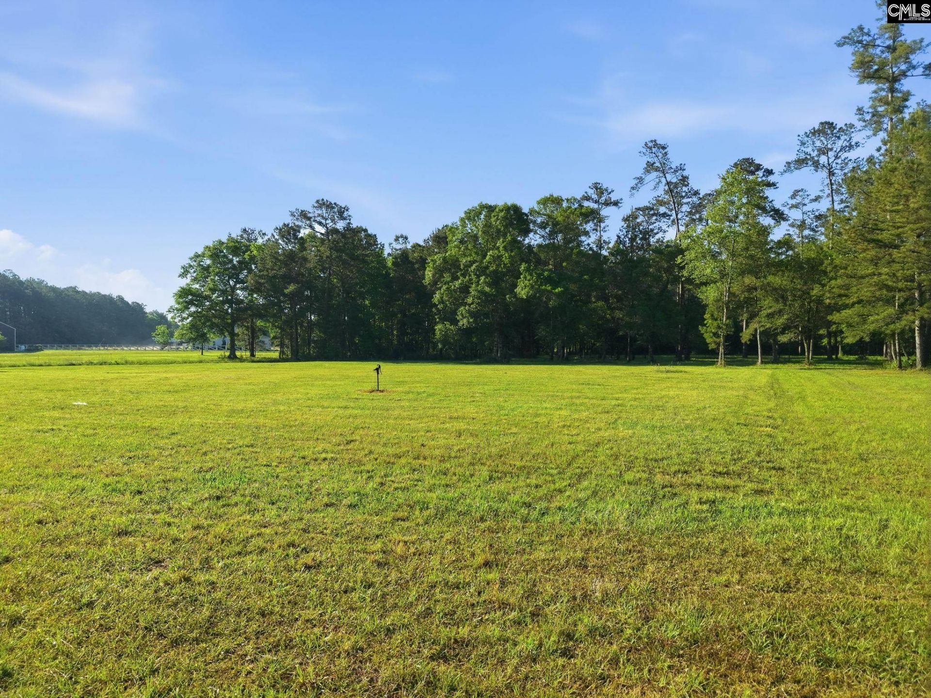 1047 Fortview Road  Photo 15