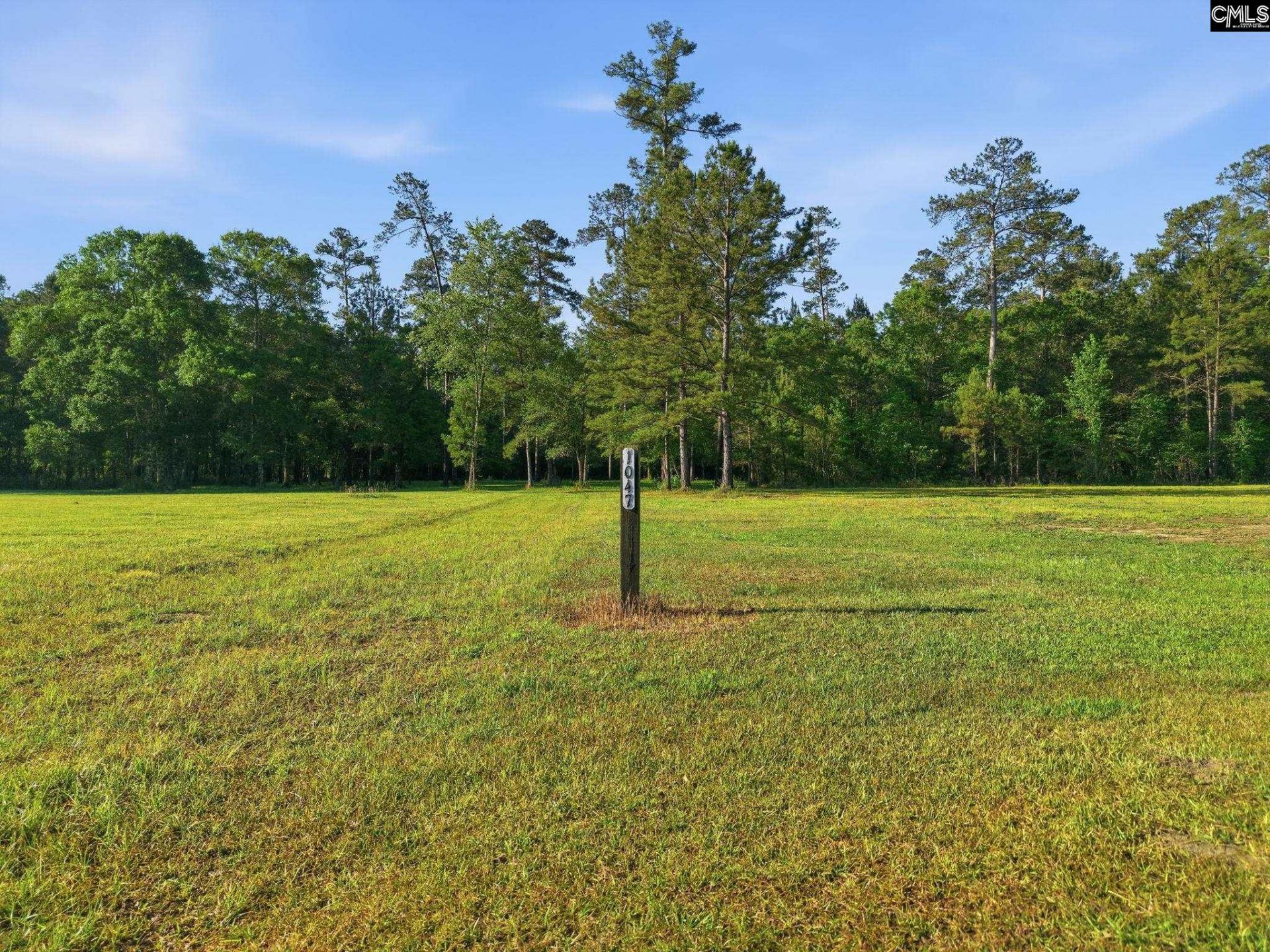 1047 Fortview Road  Photo 16
