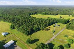 1047 Fortview Road  photo 4