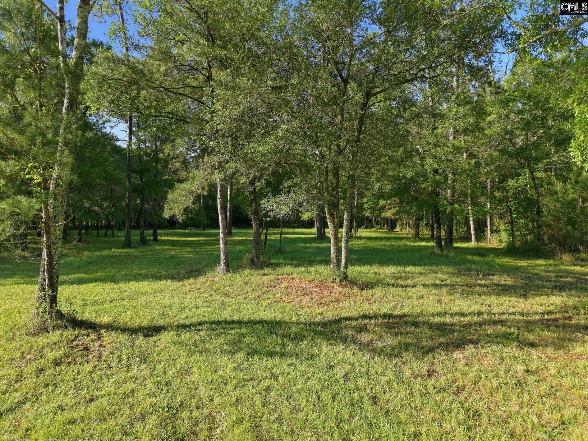 1047 Fortview Road  Photo 24