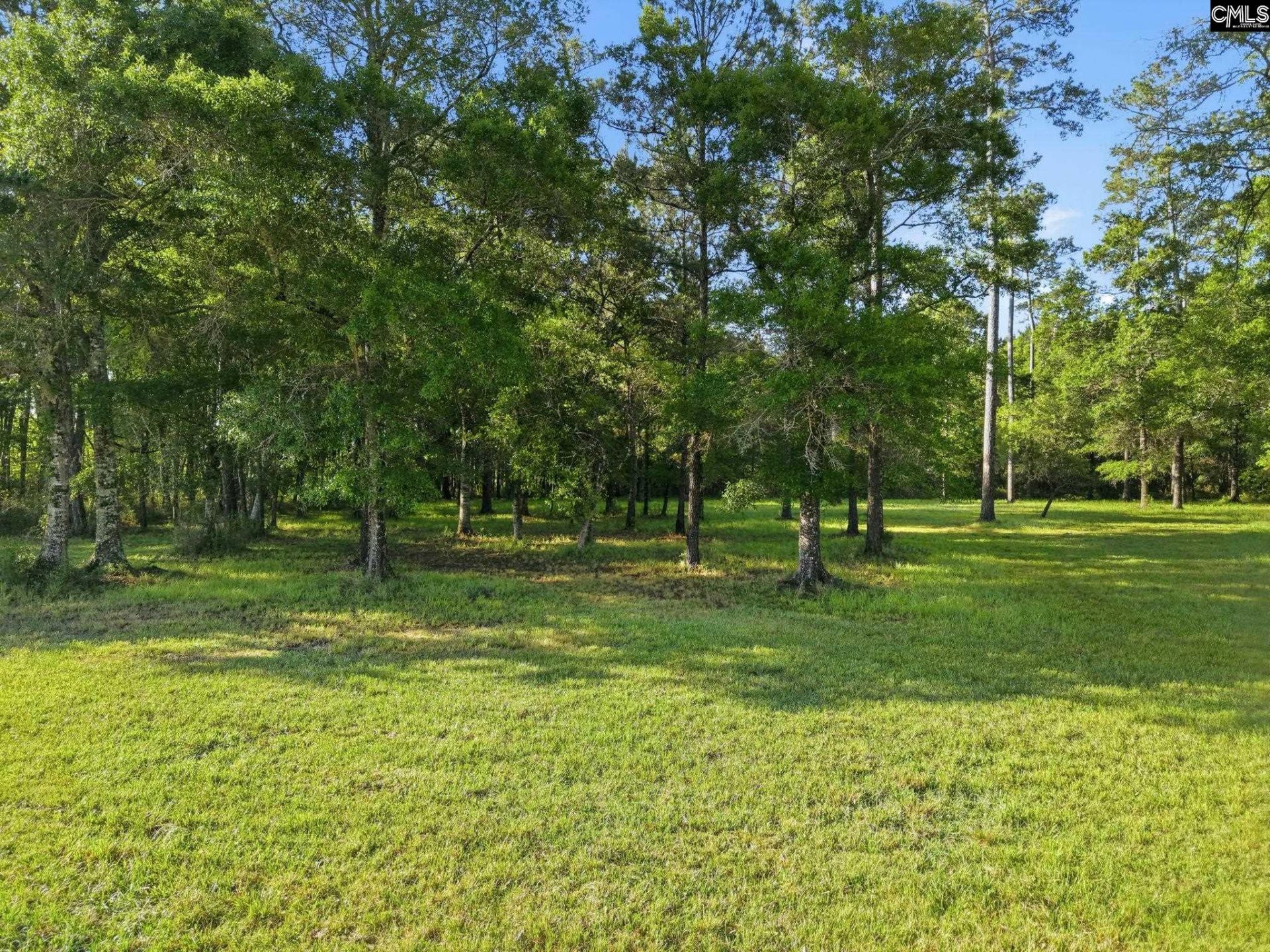 1047 Fortview Road  Photo 25
