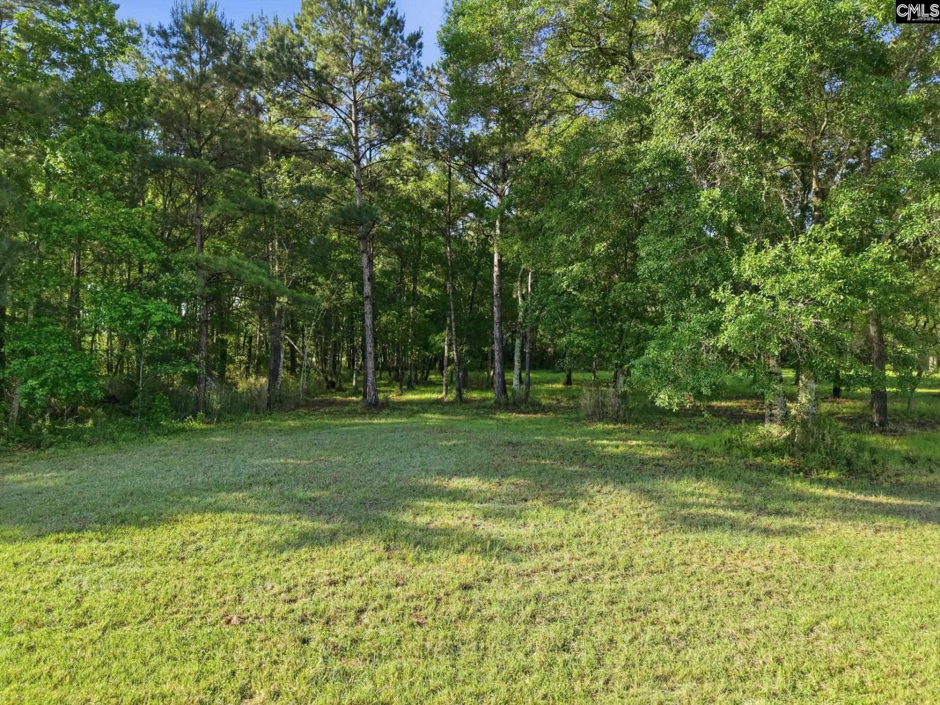 1047 Fortview Road  Photo 26