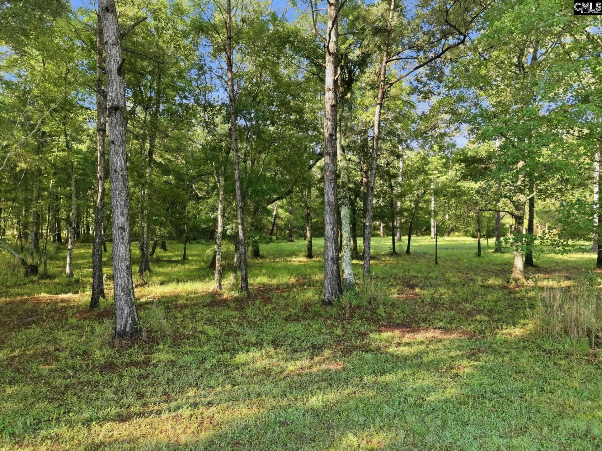 1047 Fortview Road  Photo 27