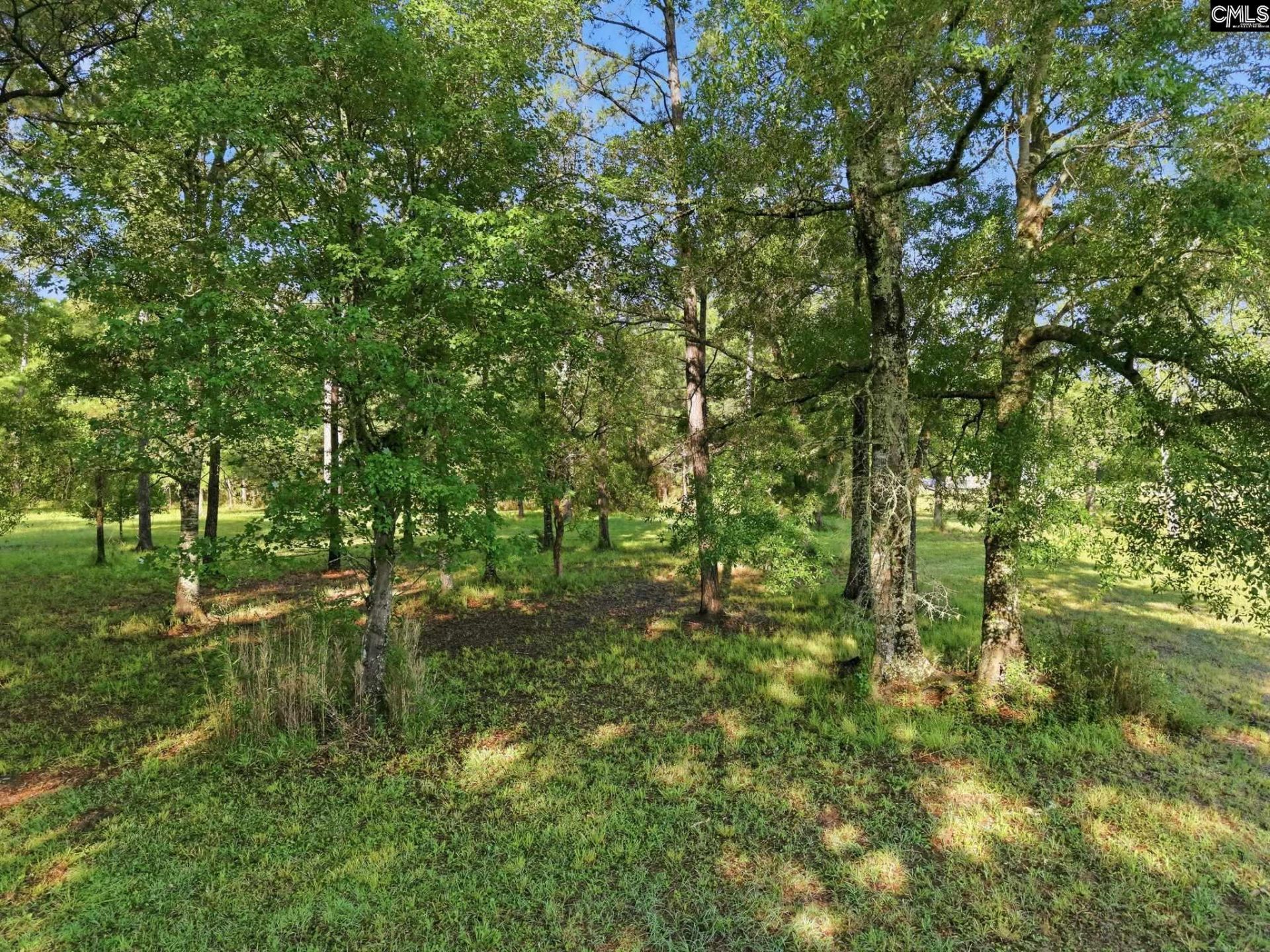 1047 Fortview Road  Photo 28