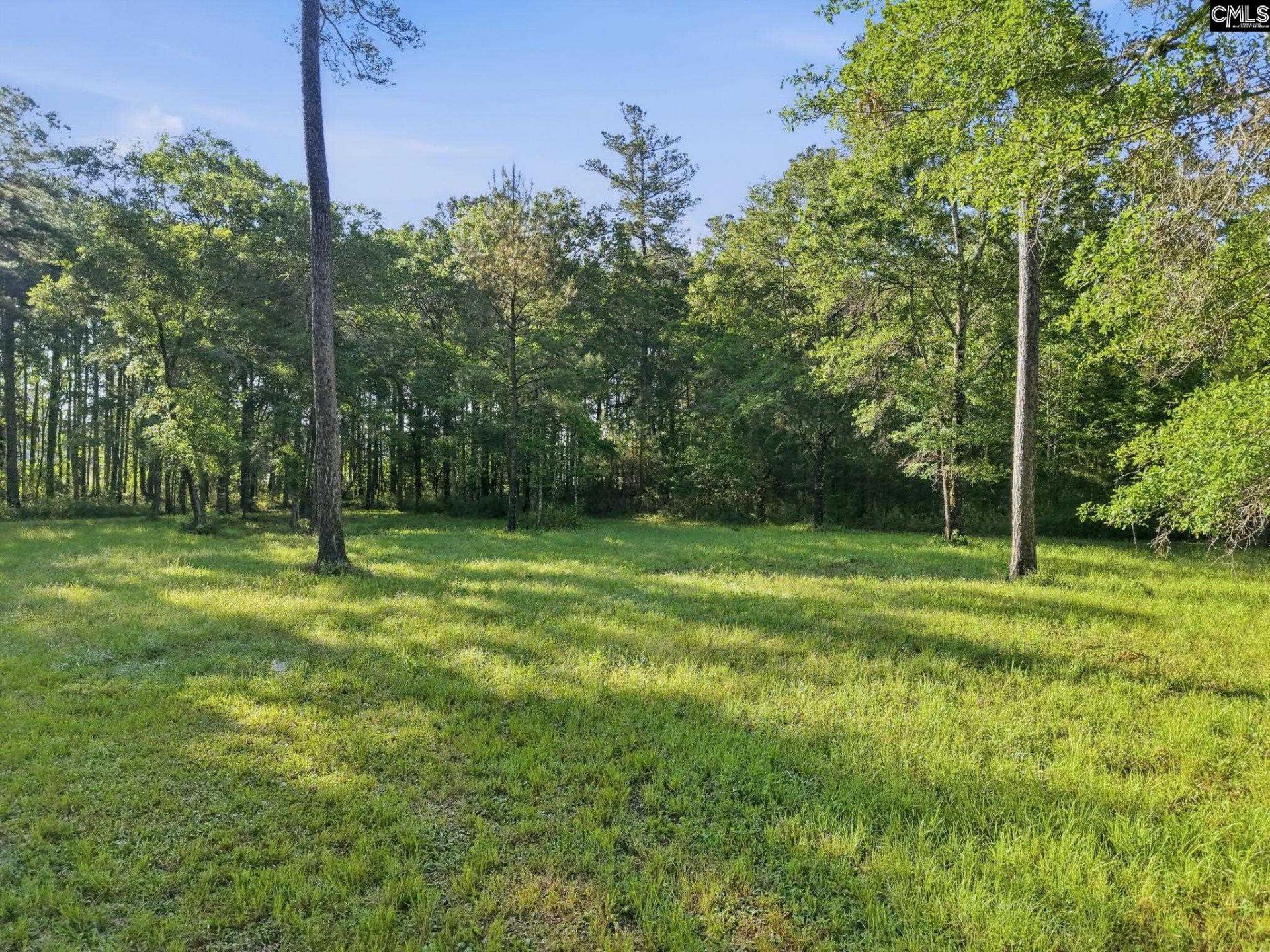 1047 Fortview Road  Photo 29