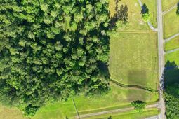 1047 Fortview Road  photo 4