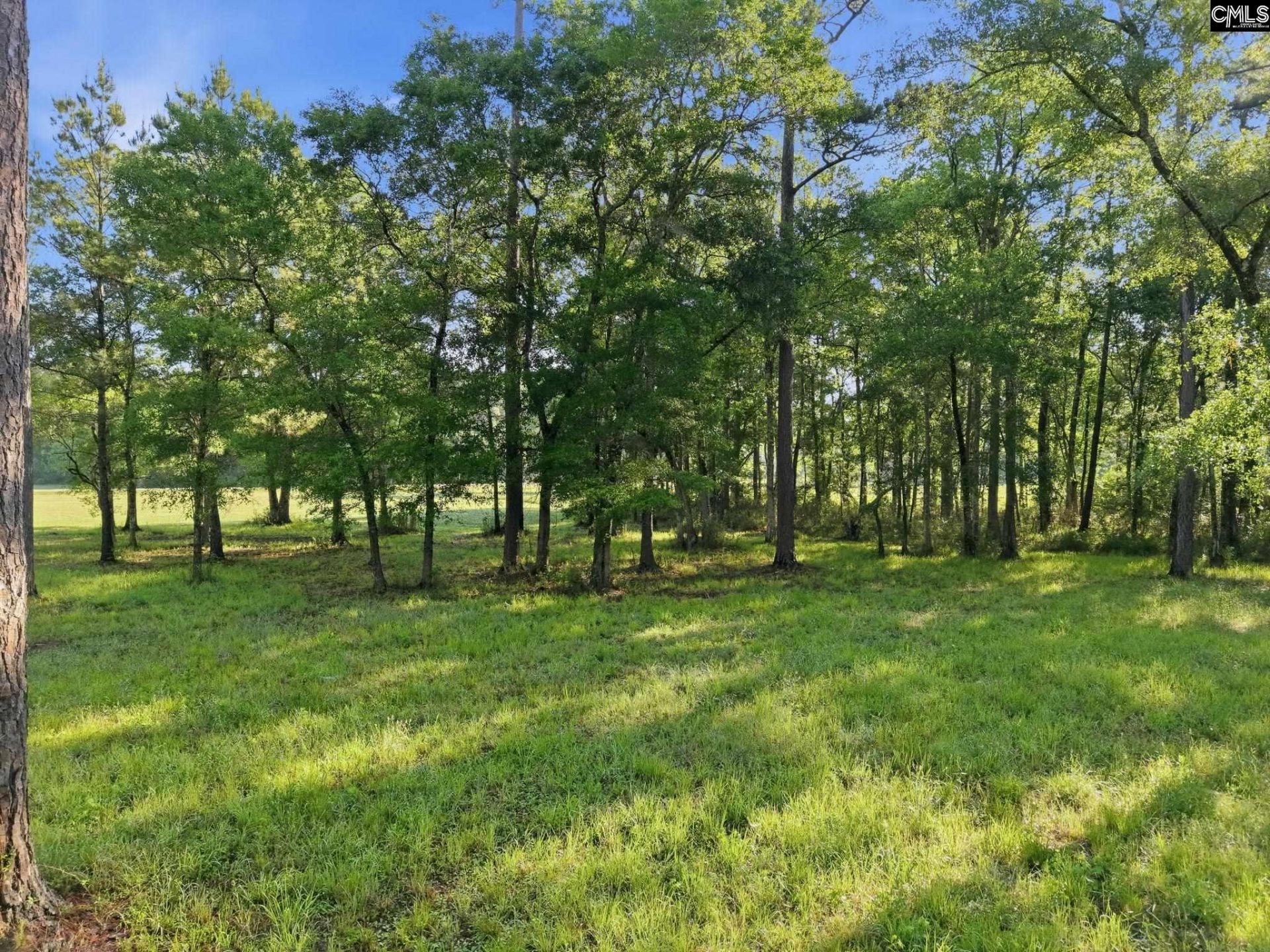 1047 Fortview Road  Photo 30