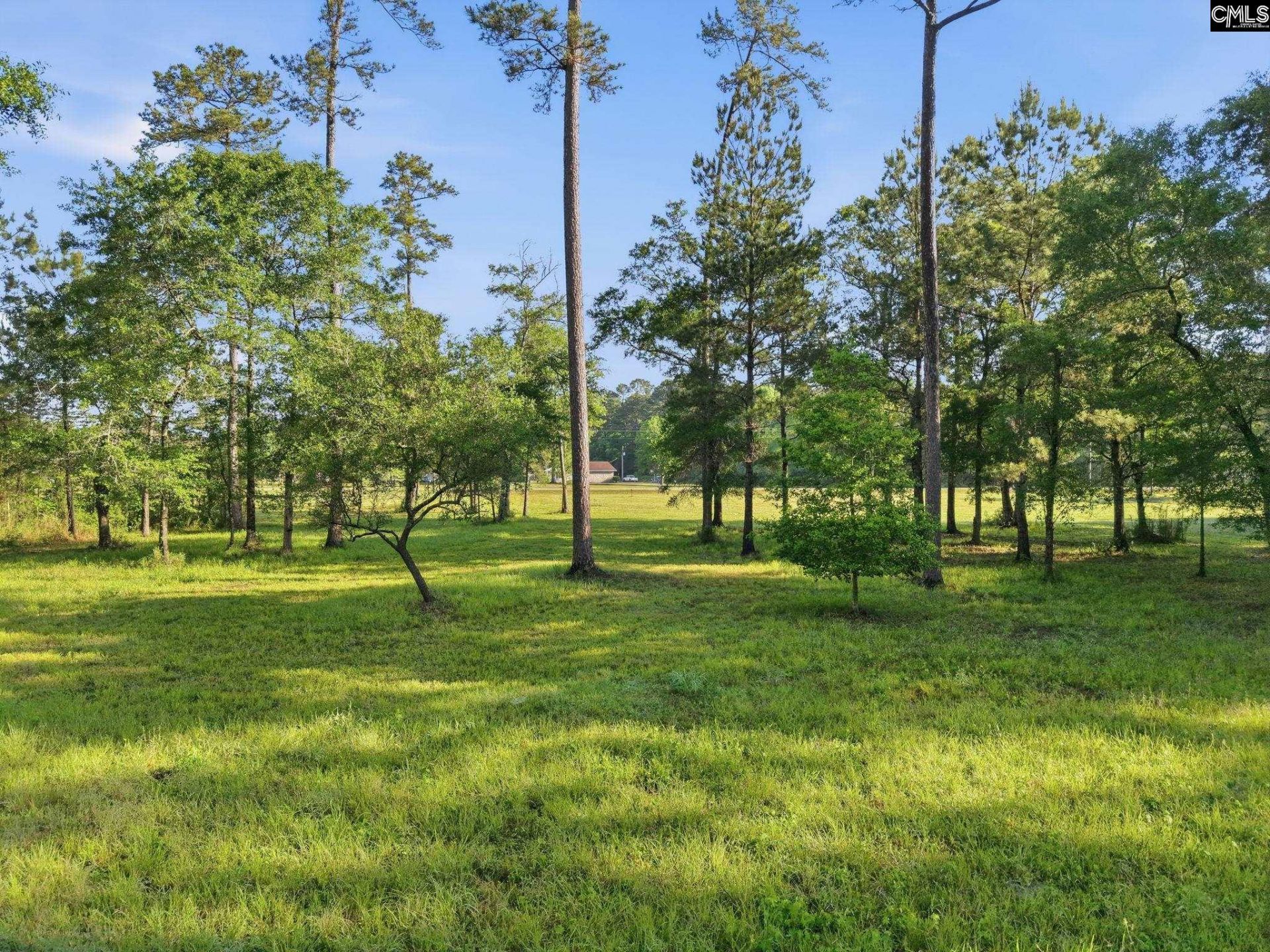 1047 Fortview Road  Photo 31