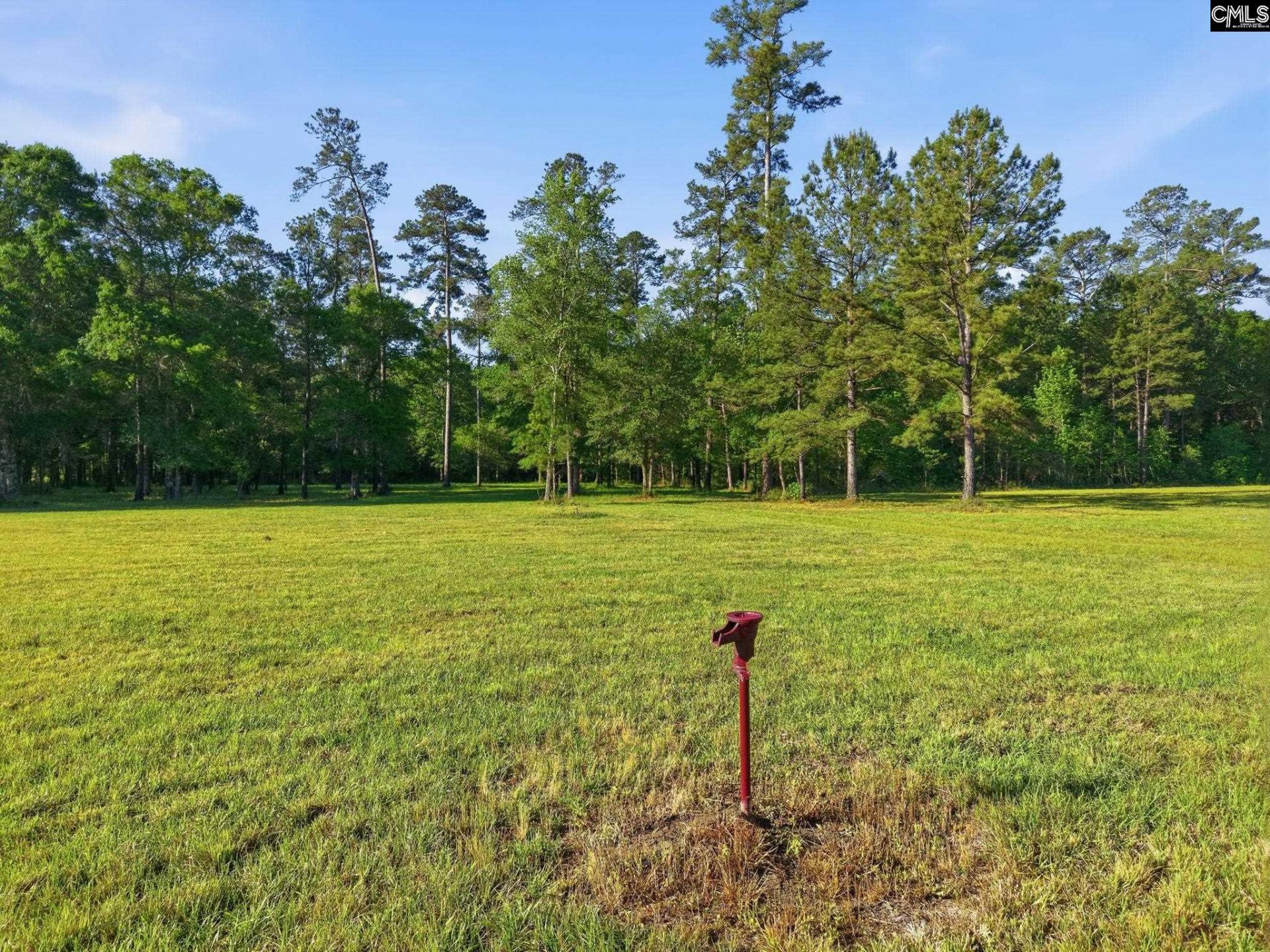 1047 Fortview Road  Photo 32