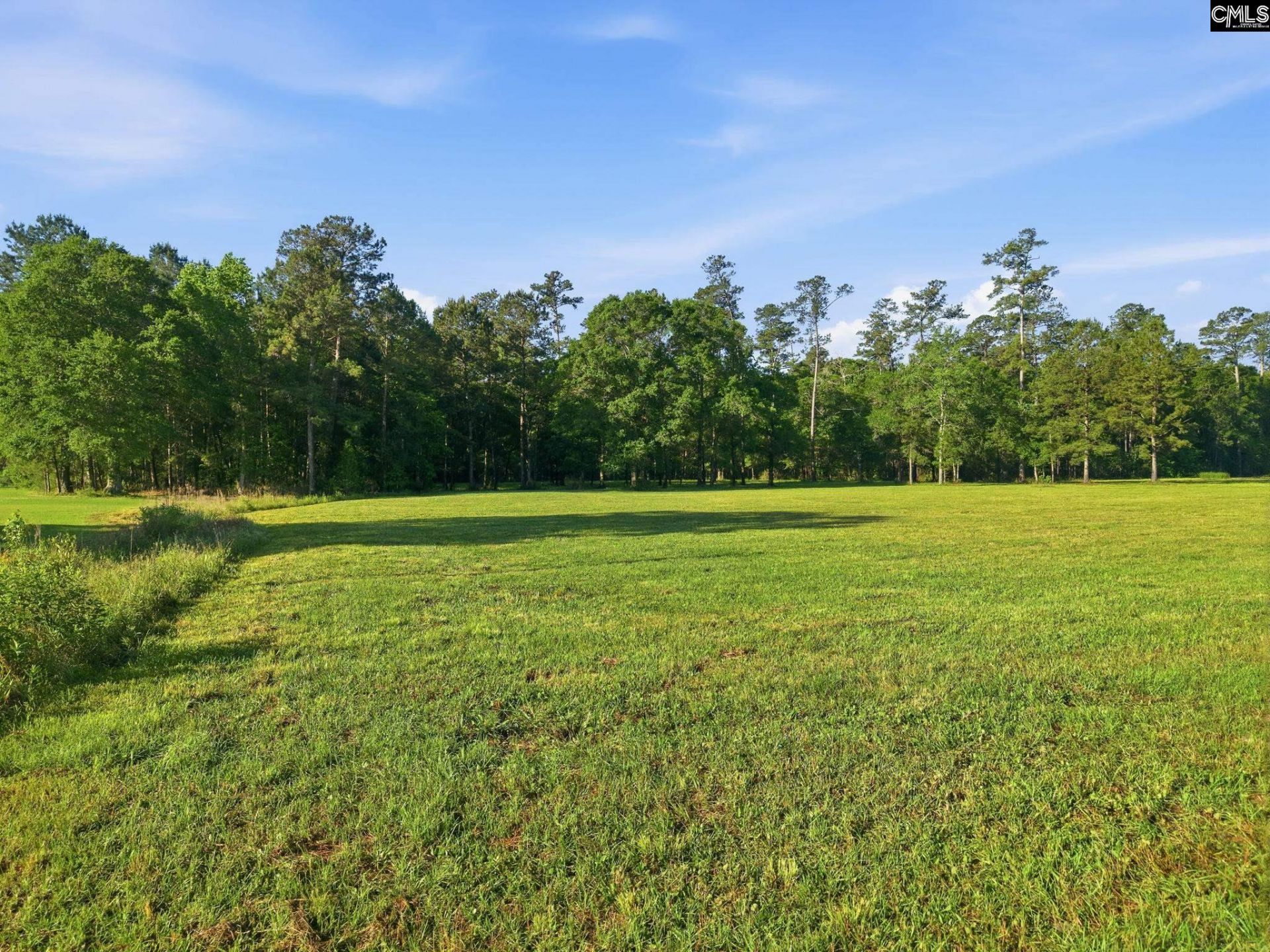 1047 Fortview Road  Photo 9