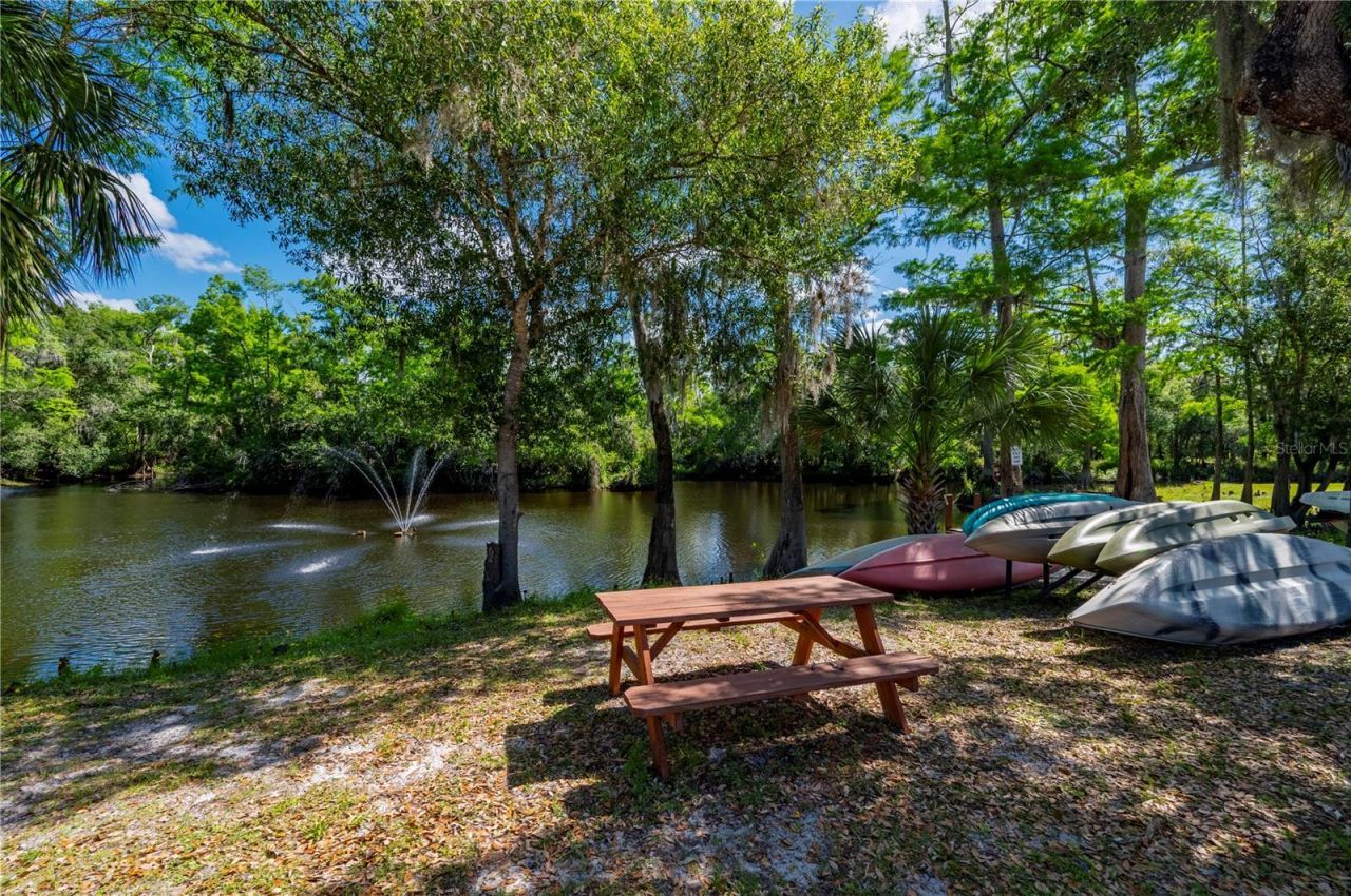 8806 SW Start Center Street, Arcadia, FL 34269 Photo