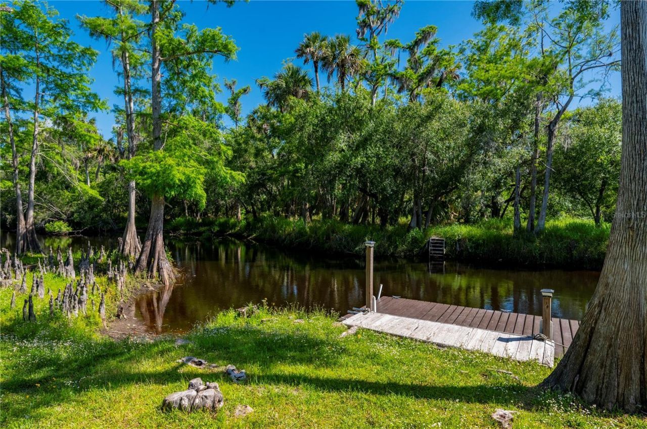 8806 SW Start Center Street, Arcadia, FL 34269 Photo