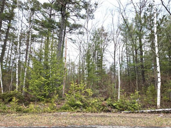 L 478-479 Balsam Circle, Presque Isle, MI 49777